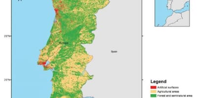 地図ポルトガルの森林
